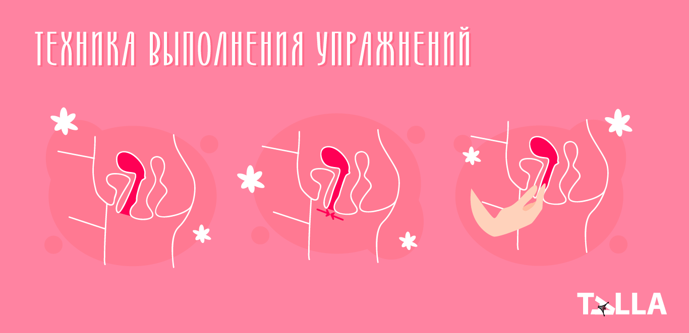 Техника выполнения упражнений