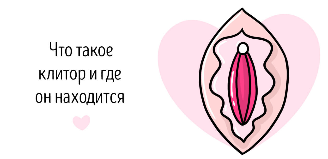 что такое клитор