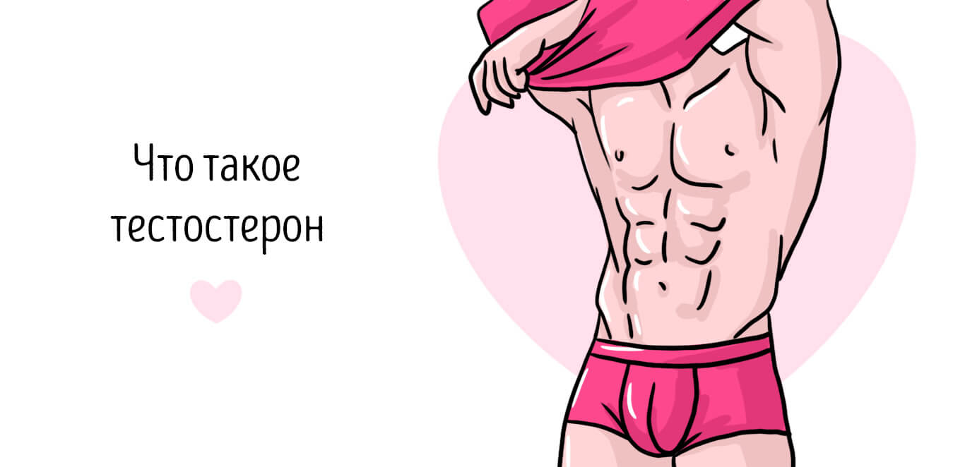 что такое тестостерон