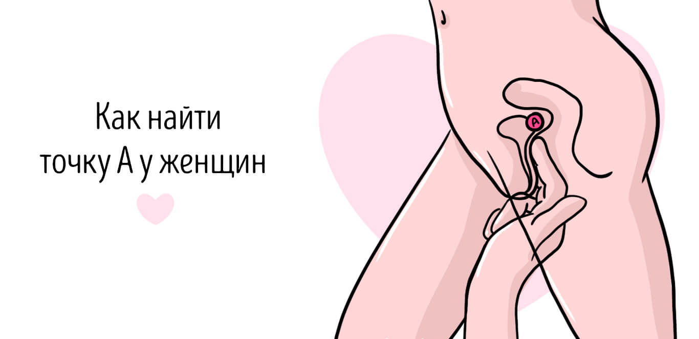 точка а у женщин расположение