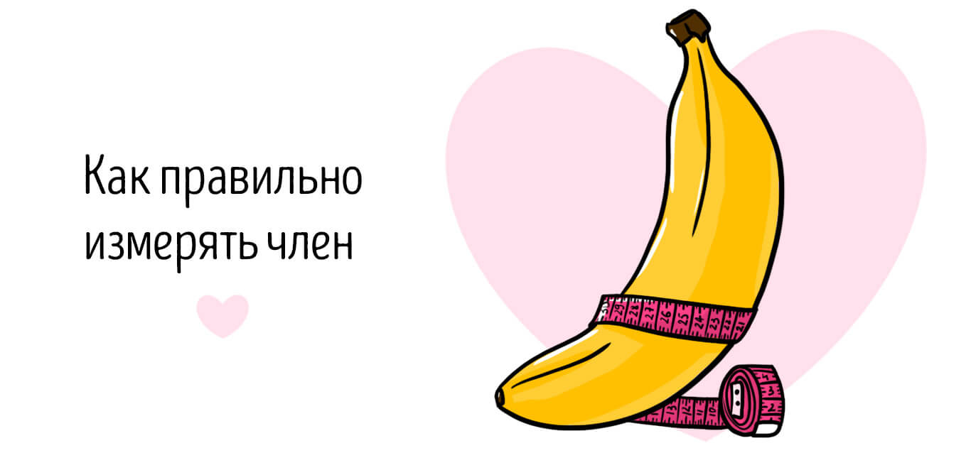 как правильно измерять член