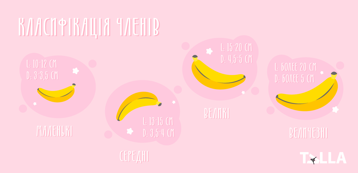 Класифікація членів