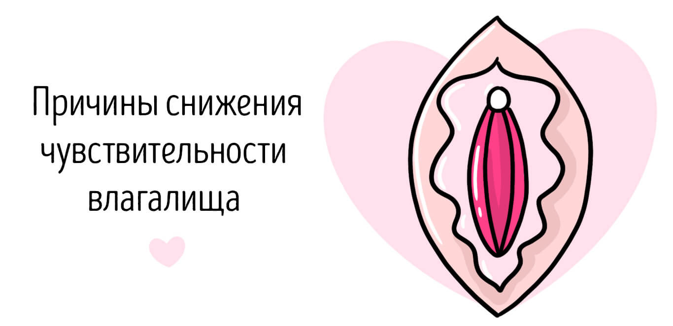 чувствительность влагалища