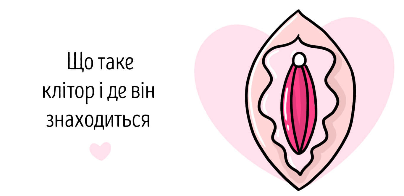 що таке клітор